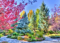 Puzzle Colorful Forest, Colorado, USA