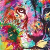 Puzzle Colorful Lion