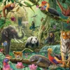 Puzzle Colorful wildlife in the jungle