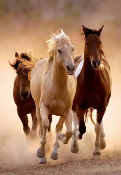 Puzzle Compact Running horses
