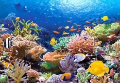 Puzzle Coral Fish