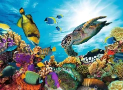 Puzzle Coral reef