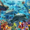 Puzzle Coral Sea