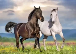 Puzzle Couple de Chevaux