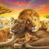Puzzle Cuddling lion family 1000