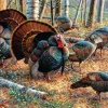 Puzzle Cynthie Fisher - Spring Strut