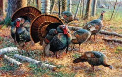 Puzzle Cynthie Fisher - Spring Strut