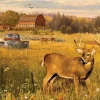 Puzzle Deer Field 500 XXL