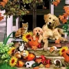 Puzzle Diamant painting: Autumn fun 30x40cm