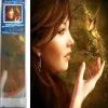 Puzzle Diamant painting: Butterfly princess 30x40cm