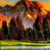 Puzzle Diamant painting: Country 80x40 cm