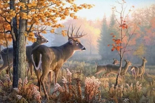 Puzzle Diamant painting: Deer in the morning mist 30x40 cm