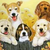 Puzzle Diamant painting: Dog friends 30x40cm