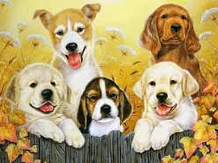 Puzzle Diamant painting: Dog friends 30x40cm