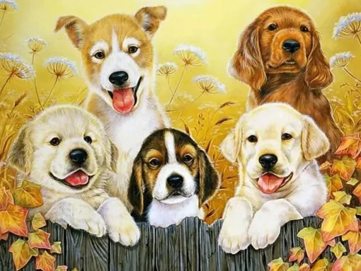 Puzzle Diamant painting: Dog friends 30x40cm