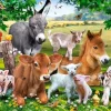 Puzzle Diamant painting: Farm animals 30x40 cm