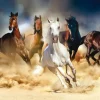 Puzzle Diamant painting: Frightened herd 30x40cm