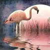 Puzzle Diamant painting: Flamingo 30x40cm