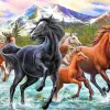 Puzzle Diamant painting: Horses in the water 30x40cm
