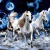 Puzzle Diamant painting: Horse Trio 30x40cm
