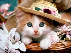Puzzle Diamant painting: Kitten with a straw hat 30x40 cm