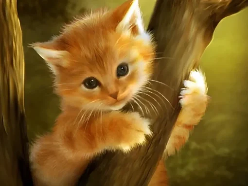 Puzzle Diamant painting: Kitten on the tree 30x40cm