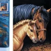 Puzzle Diamant painting: Mare with foal 30x40cm