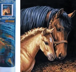 Puzzle Diamant painting: Mare with foal 30x40cm