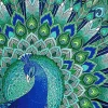 Puzzle Diamant painting: Peacock magic 30x40cm 7D