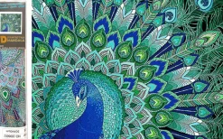Puzzle Diamant painting: Peacock magic 30x40cm 7D