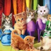 Puzzle Diamant painting: Puss in Boot 30x40cm