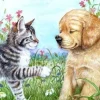 Puzzle Diamant painting: Puppy and kitten 30x40cm