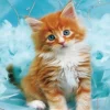 Puzzle Diamant painting: Red-haired kitten on a blue background 30x40 cm