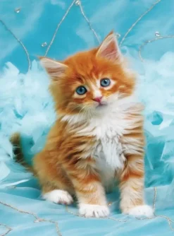 Puzzle Diamant painting: Red-haired kitten on a blue background 30x40 cm