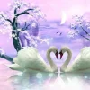 Puzzle Diamant painting: Swan love 30x40cm