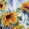 Puzzle Diamant painting: Sunflower 80x40cm