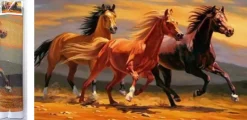 Puzzle Diamant painting: Three stallions 80x40 cm