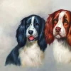 Puzzle Diamant painting: The furry duo 30x40cm