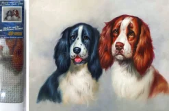 Puzzle Diamant painting: The furry duo 30x40cm