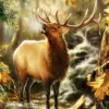Puzzle Diamant painting: The call of the forest 30x40cm