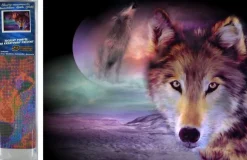 Puzzle Diamant painting: Wolf look 30x40cm