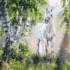 Puzzle Diamant painting: White horse 30x40 cm