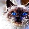 Puzzle Diamond Painting Cat magic 30x40cm