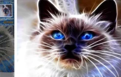 Puzzle Diamond Painting Cat magic 30x40cm