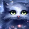 Puzzle Diamond Painting Gray kitten 30x40cm