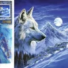 Puzzle Diamond Painting No膷ní lovci 30x40cm