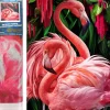 Puzzle Diamond Painting Plameniaci 30x40cm