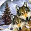 Puzzle Diamond Painting Vl膷ia rodina 30x40cm
