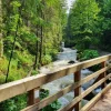 Puzzle Diamond Painting Wooden bridge in the forest 30x40cm