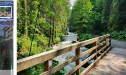 Puzzle Diamond Painting Wooden bridge in the forest 30x40cm